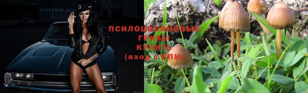 бошки Осинники