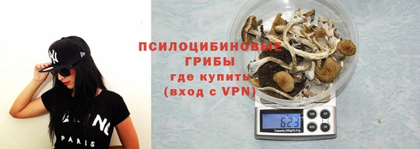 бошки Осинники