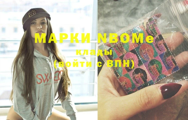 стафф Осташков