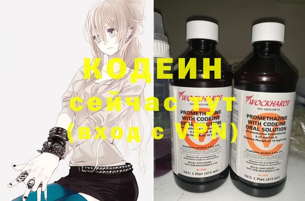 бошки Осинники