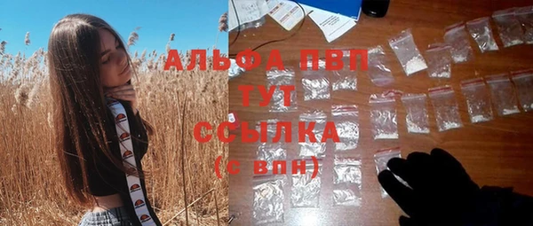 бошки Осинники