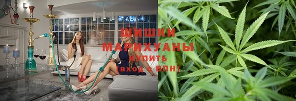 ПСИЛОЦИБИНОВЫЕ ГРИБЫ Белокуриха