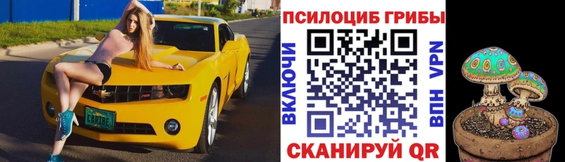 Галлюциногенные грибы Psilocybe Боровск